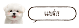 629130260