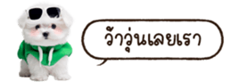 629130261