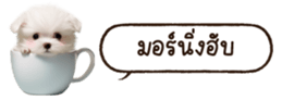 629130262