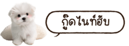 629130263