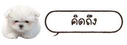 629130264