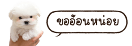 629130265