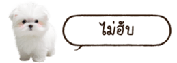 629130267