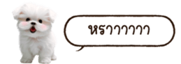 629130268