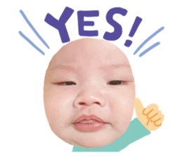 629154392