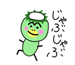 629167755