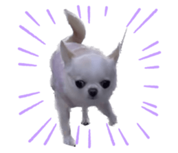 629177945