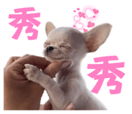 629177952