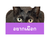 629221430