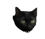 629221433