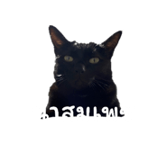 629221434