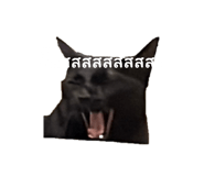 629221435
