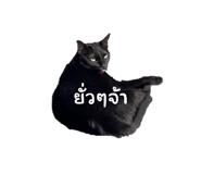 629221437