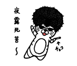 6292968