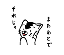 6293006