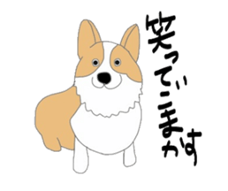 6293169