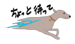 6293187