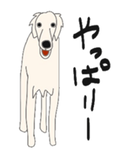 6293201