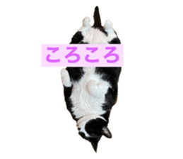 629330618