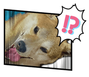 629332576