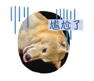 629332577