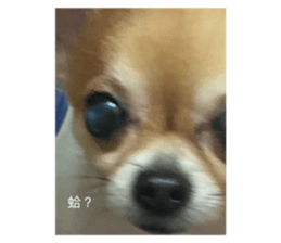 629345727