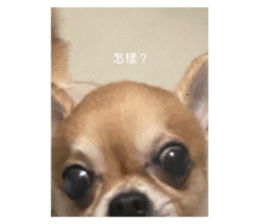 629345732