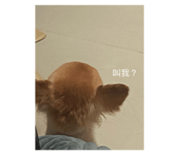 629345748