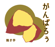 629353629