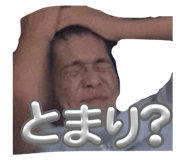 629355387