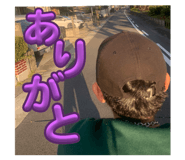 629355388