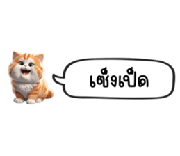 629356646