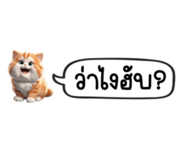 629356677