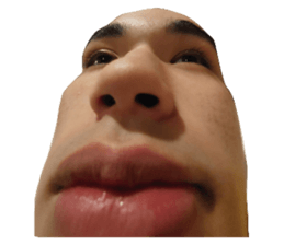 629363194