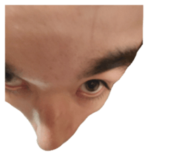 629363196