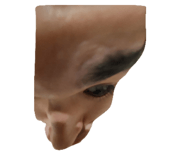 629363199