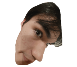 629363204