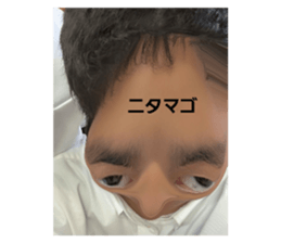 629364022