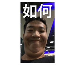 629381656