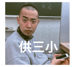 629381664