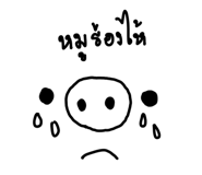 629406562
