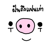629406571