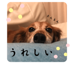 629411660
