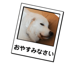 629424788