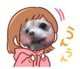 629435152