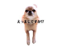 629459369