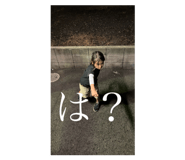 629491455