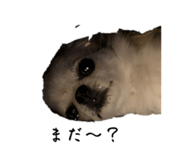 629533042
