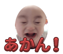 629540536