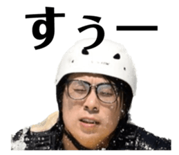 629546381
